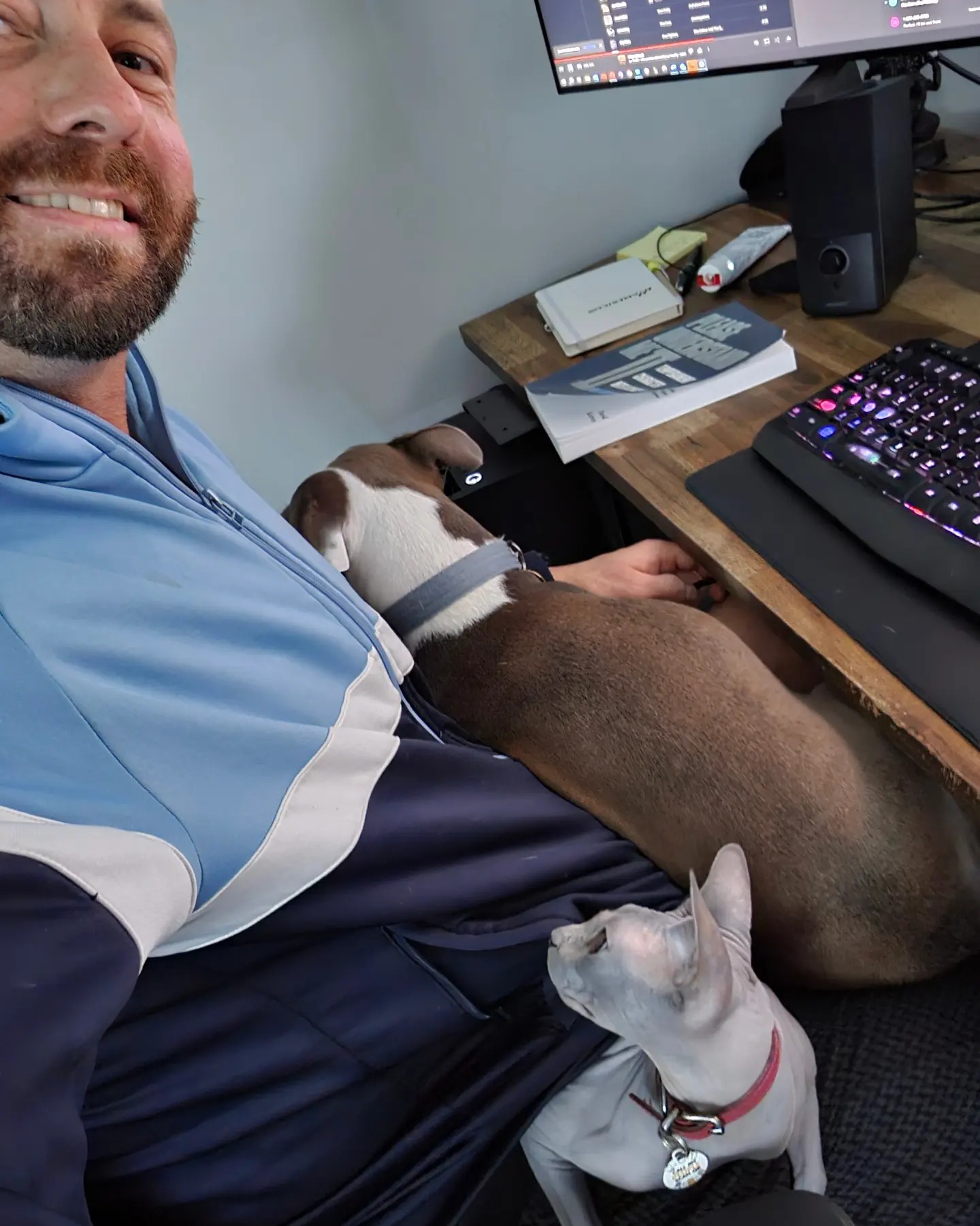 Rob at work with his office companions